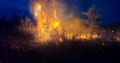 Semak Belukar di Tanjung Uban Terbakar, Warga Sempat Panik Lihat Asap Membesar