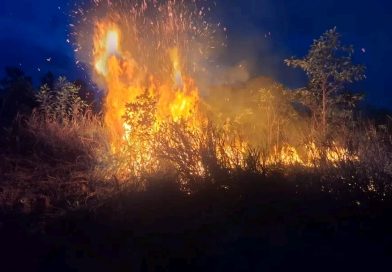 Semak Belukar di Tanjung Uban Terbakar, Warga Sempat Panik Lihat Asap Membesar