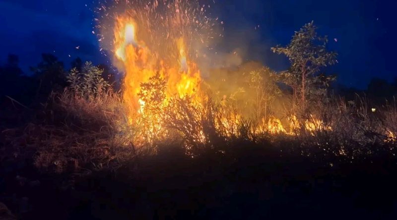 Semak Belukar di Tanjung Uban Terbakar, Warga Sempat Panik Lihat Asap Membesar