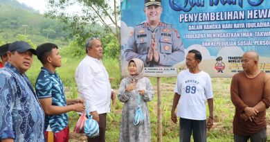 Polres Lingga Sembelih 8 Sapi dan 3 Kambing Kurban, Perkuat Kepedulian Sosial di Momen Iduladha