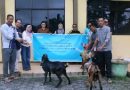 Hari Kedua Iduladha 1447 H, Kemenag Tanjungpinang Sembelih Hewan Kurban