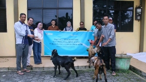 Hari Kedua Iduladha 1447 H, Kemenag Tanjungpinang Sembelih Hewan Kurban