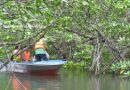 Sembilan Wisatawan Asing Dilaporkan Tenggelam Saat Ikuti Tur Mangrove di Bintan