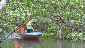 Sembilan Wisatawan Asing Dilaporkan Tenggelam Saat Ikuti Tur Mangrove di Bintan