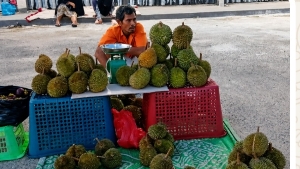 Di Balik Manisnya Durian, Ada Perjuangan Rahmad Menghidupi Keluarga dan Mengejar Mimpi