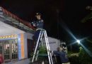 Damkar Bintan Berhasil Eksekusi Sarang Tawon Vespa