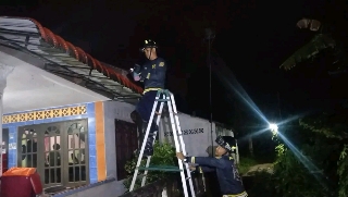 Damkar Bintan Berhasil Eksekusi Sarang Tawon Vespa