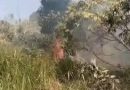 Kebakaran Semak Belukar Hanguskan Setengah Hektare Lahan di Sebong Pereh, Damkar Padamkan Api Secara Manual