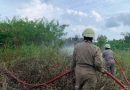 Damkar Tanjung Uban Padamkan Kebakaran Lahan di Gang Mulyosari, Warga Apresiasi Respons Cepat Petugas
