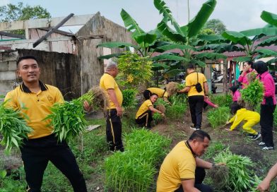 Polsek Dabo Singkep Panen 25 Kilogram Kangkung, Hasilnya Dibagikan kepada Warga