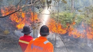 Damkar Lingga Bergerak Cepat, Karhutla Seluas Setengah Hektare di Singkep Berhasil Dipadamkan