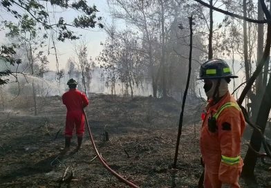 Damkar Bintan Berhasil Padamkan Kebakaran Lahan di Teluk Sebong, Sekitar Setengah Hektare Semak Belukar Terbakar