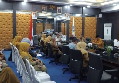 Susun Rencana Pembangunan Industri, Pemkab Bintan Dongkrak Ekonomi dan Lapangan Kerja