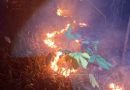Kebakaran Lahan di Teluk Sasah, Setengah Hektare Semak Belukar Terbakar