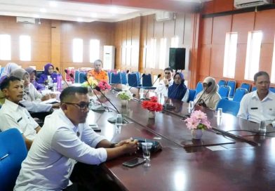 Posyandu Menyapa, Lingga Perkuat Peran Posyandu sebagai Ujung Tombak Pelayanan Dasar Masyarakat
