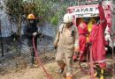 Kebakaran Lahan di Sebong Lagoi, Sekdes Laporkan Api Hanguskan Sekitar 1 Hektare