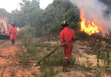 Kebakaran Lahan Melanda Kuala Sempang, Tim Gabungan Bergerak Cepat Padamkan Api