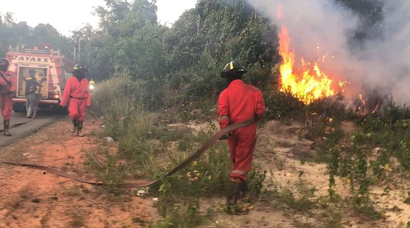 Kebakaran Lahan Melanda Kuala Sempang, Tim Gabungan Bergerak Cepat Padamkan Api