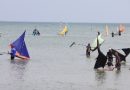 Ratusan Jong Meriahkan Festival Pantai Wan Seri Beni, Tradisi Bahari Bintan Kian Dikenal