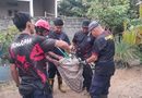 Ular Cincin Emas Sepanjang 2 Meter Masuk Halaman Rumah Warga Tanjung Uban, Damkar Bergerak Cepat
