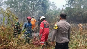 Kebakaran Lahan Hanguskan Seperempat Hektare Semak Belukar di Sebong Pereh