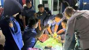 Kucing Telan Mata Pancing, Warga Tanjung Uban Minta Bantuan Damkar