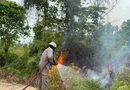 Api Membakar Lahan Dekat MTsS Teluk Sasah, Warga Bergegas Lapor Damkar