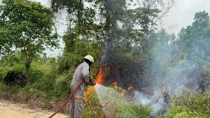 Api Membakar Lahan Dekat MTsS Teluk Sasah, Warga Bergegas Lapor Damkar