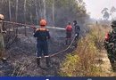 Karhutla di Jalan Tanah Putih Lingga Meluas hingga 25 Hektare, Petugas Terkendala Sumber Air
