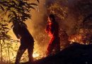 Kebakaran Lahan di Busung Hanguskan Sekitar Setengah Hektare, Pemadaman Dilakukan Manual