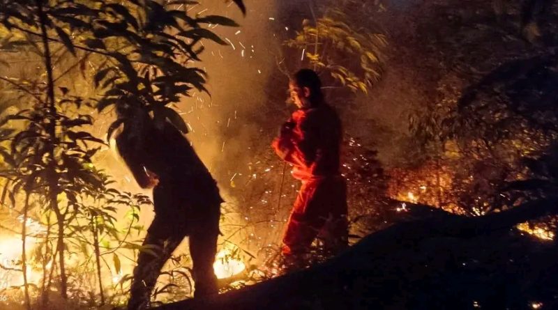 Kebakaran Lahan di Busung Hanguskan Sekitar Setengah Hektare, Pemadaman Dilakukan Manual