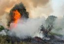 Lahan Semak Belukar di Tanjung Uban Terbakar, Diduga Dipicu Pembakaran Sampah