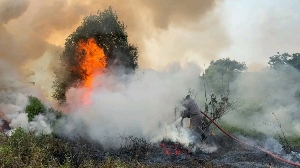 Lahan Semak Belukar di Tanjung Uban Terbakar, Diduga Dipicu Pembakaran Sampah
