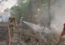 Lahan Seluas Seperempat Hektare Terbakar di Tanjung Uban, Diduga Berawal dari Pembakaran Sampah