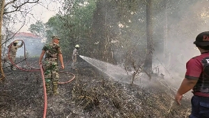 Lahan Seluas Seperempat Hektare Terbakar di Tanjung Uban, Diduga Berawal dari Pembakaran Sampah