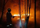 Kebakaran Lahan Dekat MTsS Teluk Sasah, Api Menghanguskan Setengah Hektare