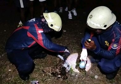 Tawon Vespa Bersarang di Puskesmas Sebong Lagoi, Damkar Turun Tangan