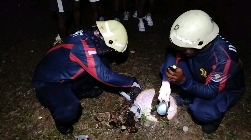 Tawon Vespa Bersarang di Puskesmas Sebong Lagoi, Damkar Turun Tangan